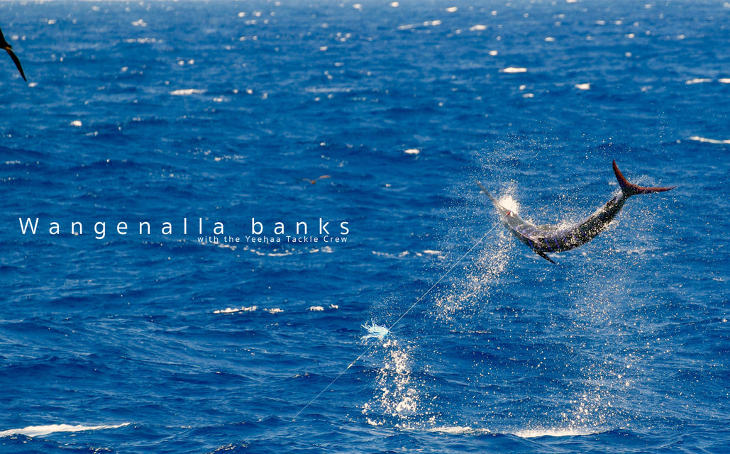 Wangenalla Banks ~ with the Yeehaa Tackle Crew