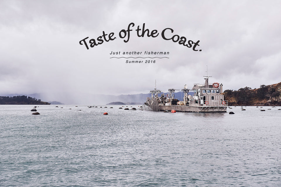 TASTE OF THE COAST ~ J.A.F SUMMER 16 CAMPAIGN