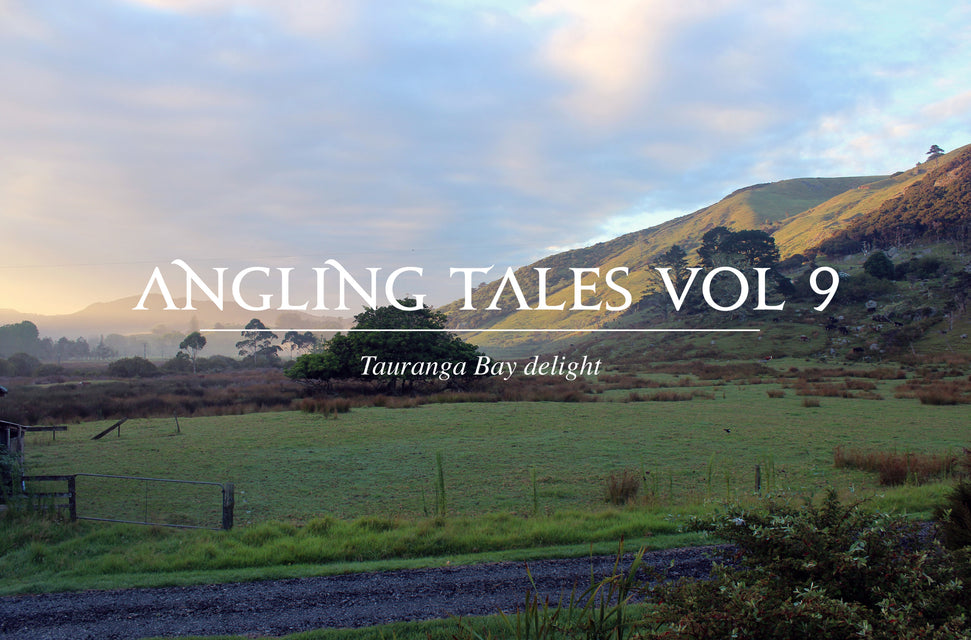 VOL 9 - TAURANGA BAY DELIGHT