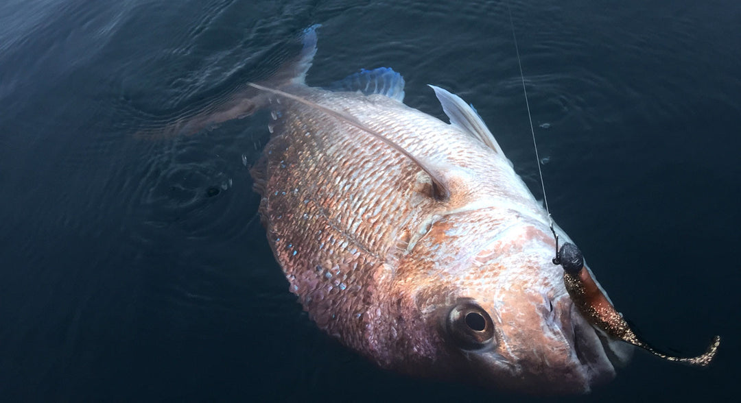 MENTAL HEALTH MONDAYS